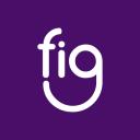 FIG Agency logo